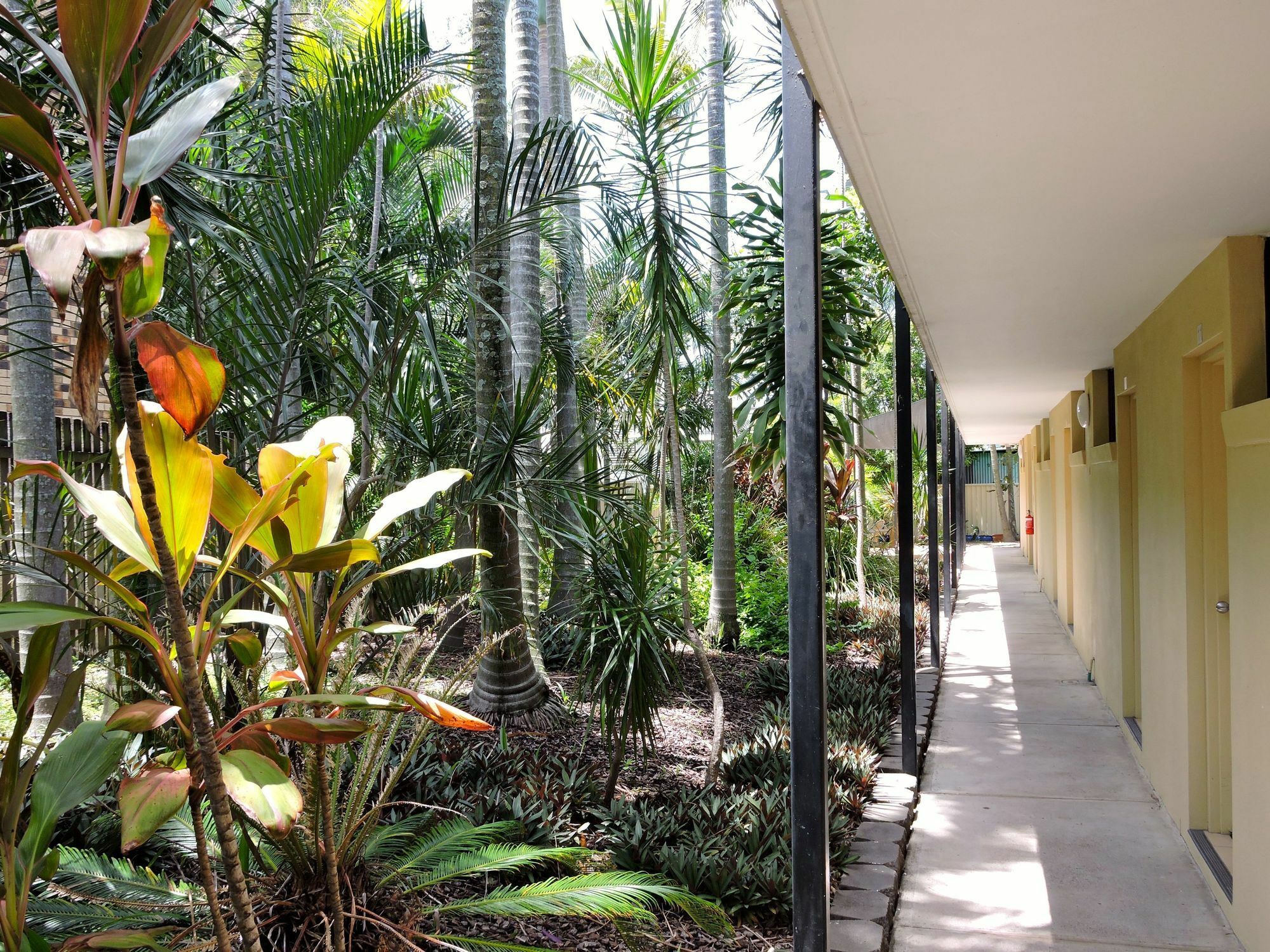 Best Western Airport 85 Motel Brisbane Esterno foto